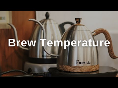 Video: Termometer perendaman: varietas dan tujuan perangkat untuk mengukur suhu air
