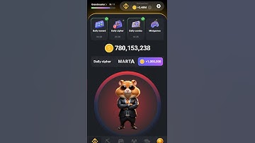 28 August hamster kombat daily cipher combo || Daily combo hamster kombat today || 5 million coins