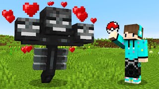 MINECRAFT TAPI AKU BISA MENCULIK SEMUA MOB PAKAI POKEBALL !