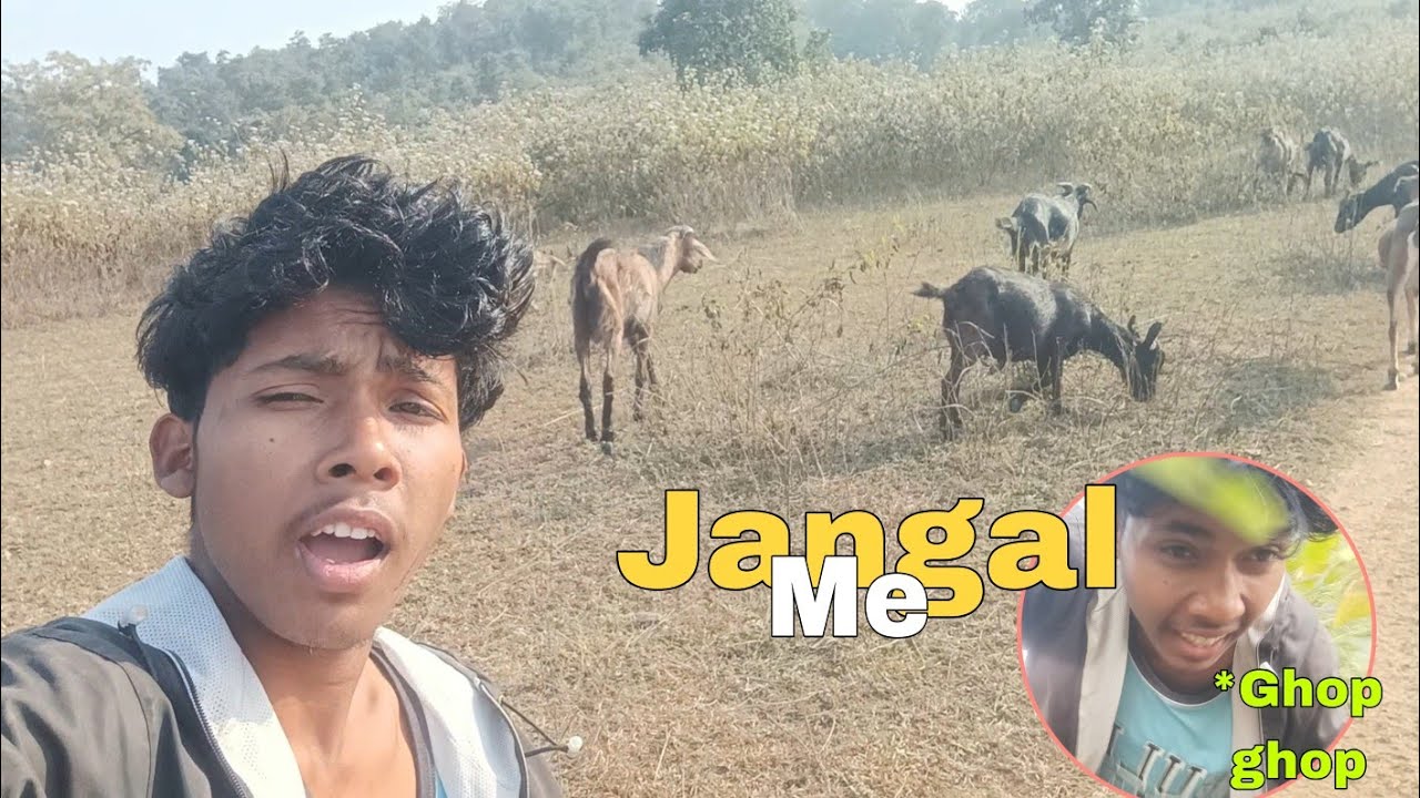 जंगल में मंगल😂💦 New blogs //