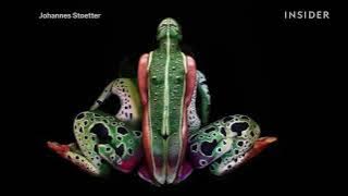 These amazing animals are really people covered in body paint