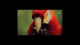 Kisiki By Sam Wa Ukweli...... 