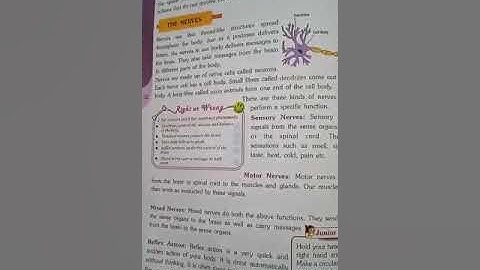 Class  V Science chapter  - 4 Nervous system (part - 3)