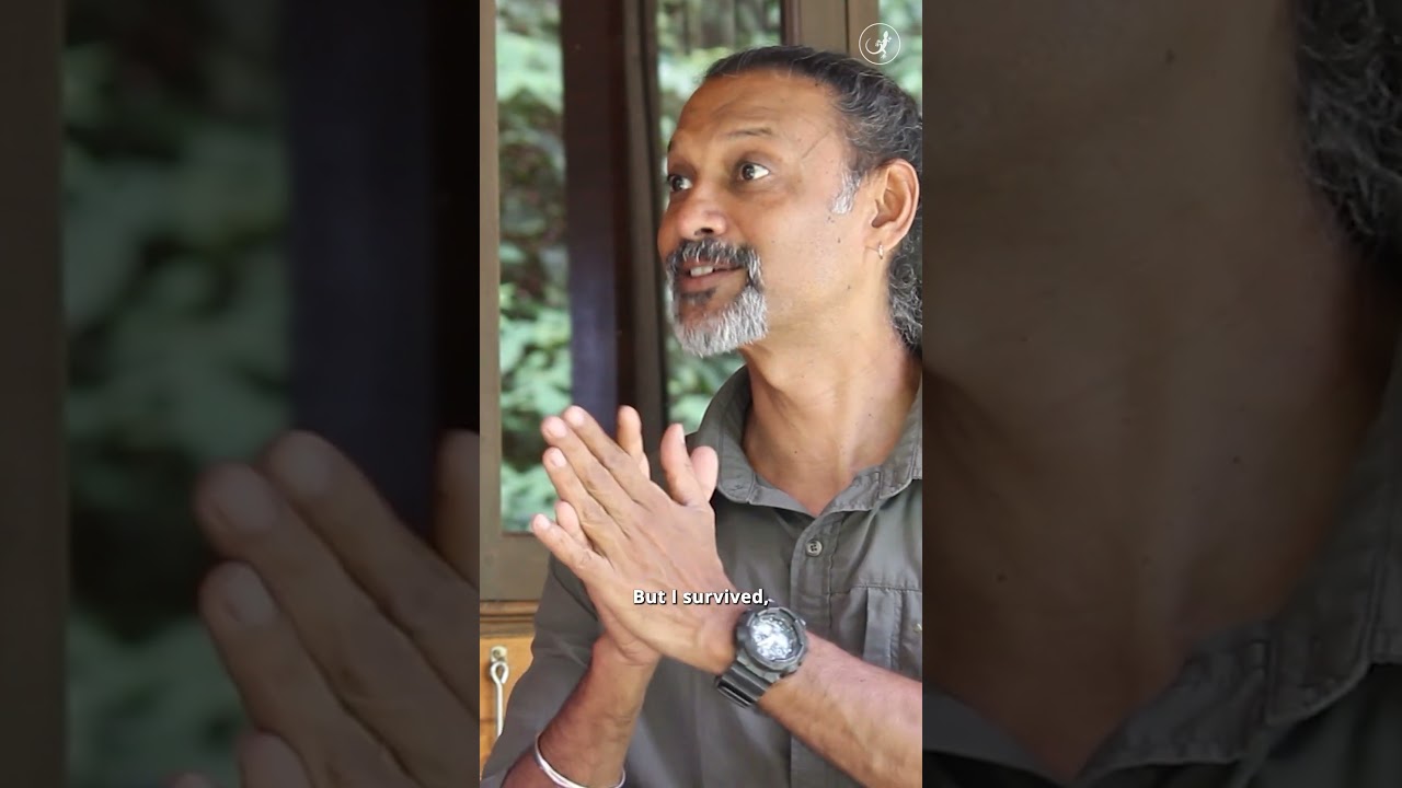 In search of an anti-venom | King cobra