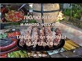 Люля кебаб на тандыре и еще много вкуснятины!!!