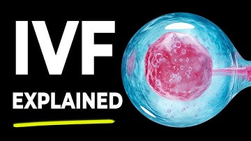 In Vitro Fertilization (IVF): How It Works Step by Step | 3D Animation