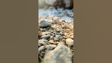 “When Stones Glorify Allah 🪨 | سورة بني إسرائيل”#Quran #nature