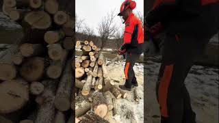 Cutting firewood at maximum power with Stihl Msa 300. #stihl #stihlpower #shorts