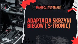 Adaptacja Automatycznej Skrzyni Biegów S-Tronic. Szarpiące Biegi, Procedura Po Wymianie Oleju.