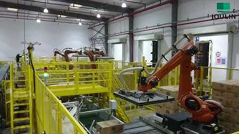 Cartons palletizing on multiple lines with a single foam gripper