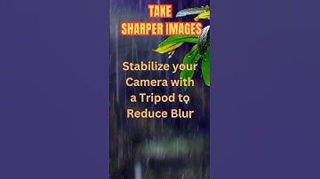 6 Essential Tips to Take Sharp professional Images Every Time