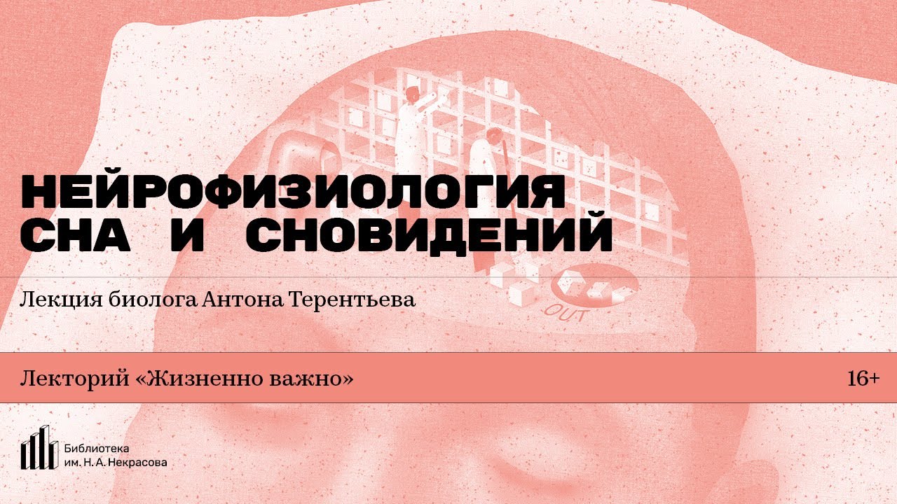 «Нейрофизиология сна и сновидений». Лекция биолога Антона Терентьева