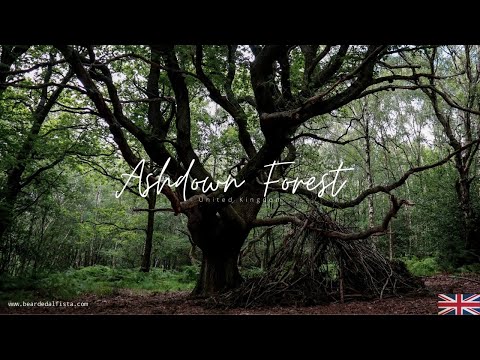 Travel Video: Ashdown Forest