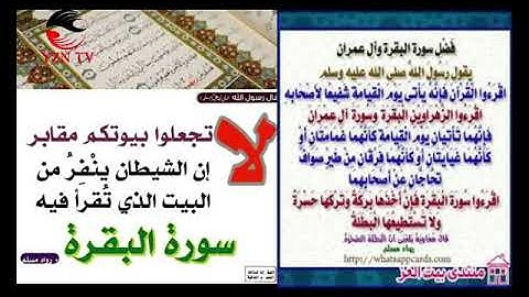 سورة البقرة بصوت الشيخ أبو عماد بدران|بدون اعلانات