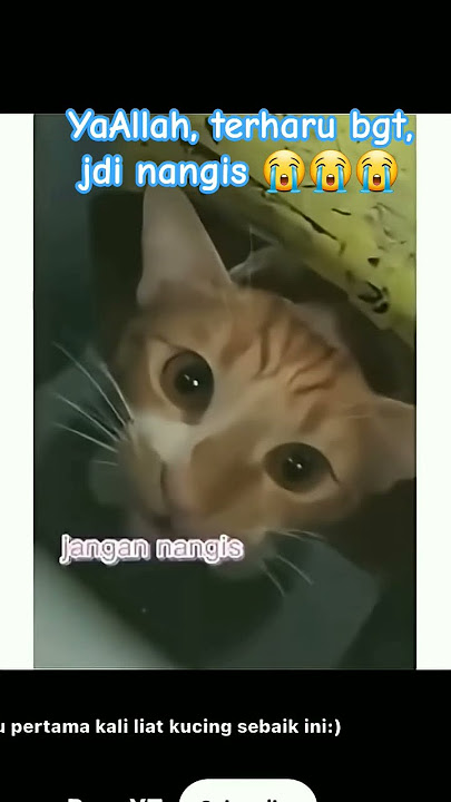 makasih ya cing, udh bikin aku terharu😭🌷🌷🌷😭 #sad #greenscreen #likeandsubscribe