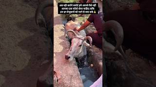 इस मां का दर्द जो समझ सकता है वो ही इंसान हैं और जो इंसान हैं सबस्क्राइब शेयर करके हमारा सपोर्ट करें