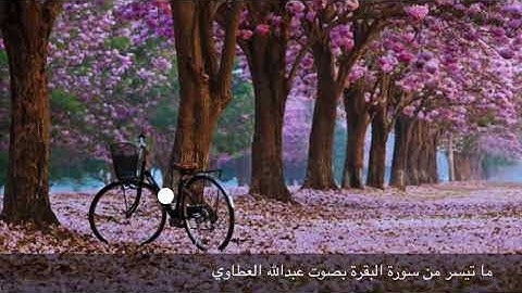 ما تيسر من سورة البقرة بصوت عبدالله العطاوي