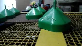 20170315 1746091