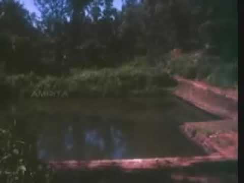 Karu kare karmukil song from kummatti movie 1979