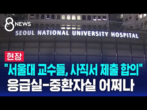 [현장] &quot;서울대 교수들, 사직서 제출 합의&quot; 응급실-중환자실 어쩌나 / SBS 8뉴스