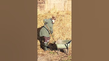 💩 Mucking Out Stables vs. Poo Picking Paddocks – Which Do You Prefer? 🐴💭⁠