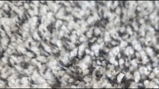 Download Lagu Virgins,  Firstfruits \u0026 The Elect MP3