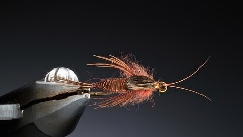 Tying a clinger stone fly nymph with Barry Ord Clarke