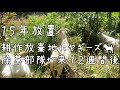 【予想外】ヤギーズ除草部隊の奇跡!耕作放棄地へ出張~2週間後の驚異的な変化"