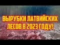 ВЫРУБКИ ЛАТВИЙСКИХ ЛЕСОВ В 2023 ГОДУ! | КРИМИНАЛЬНАЯ ЛАТВИЯ