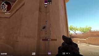 Werid Anubis Bug CS2