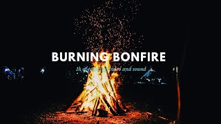 Rahat Kamp Ateşi Rahatlatıcı Şenlik Ateşi Sesleri Yanan Şömine Ve Çıtırtı, Cırcır Böcekleri