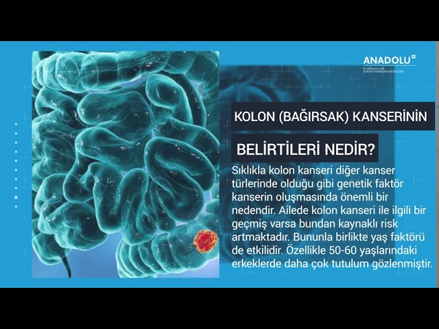 Testis Kanseri Belirtileri Ve Tedavisi