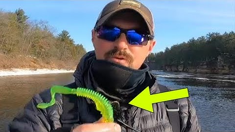 WALLEYES with plastique technique!