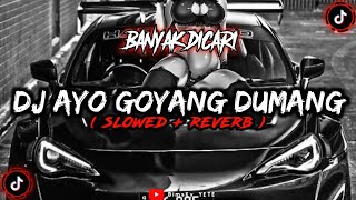 DJ Ayo Goyang Dumang Slowed Reverb🎧