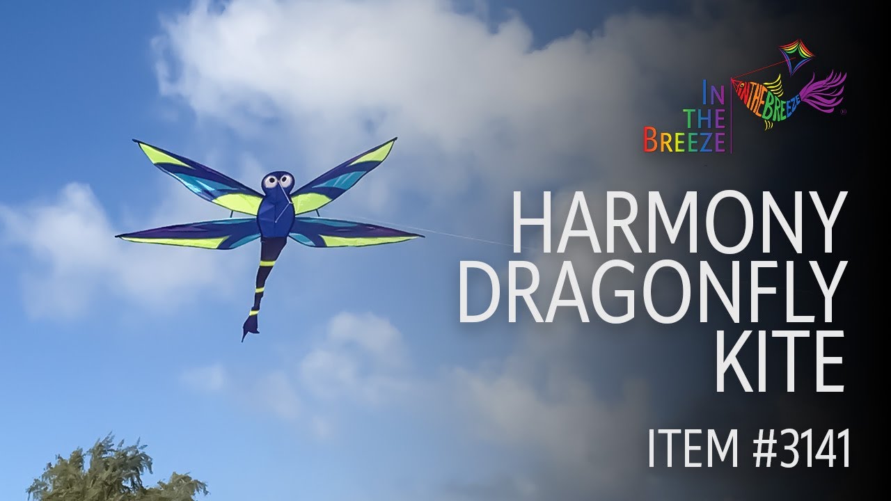 dragonfly kite safari