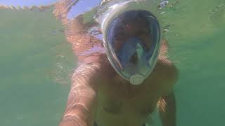 Snorkeling @ Diving @ Phi Phi Leh Island, Thailand