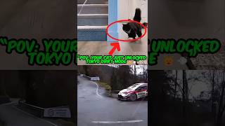 “POV your cat just unlocked Tokyo Drift mode 🐱💨 #shorts #cat #pov