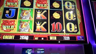 Tiger Wealth Slot Machine NICE WIN Bonus