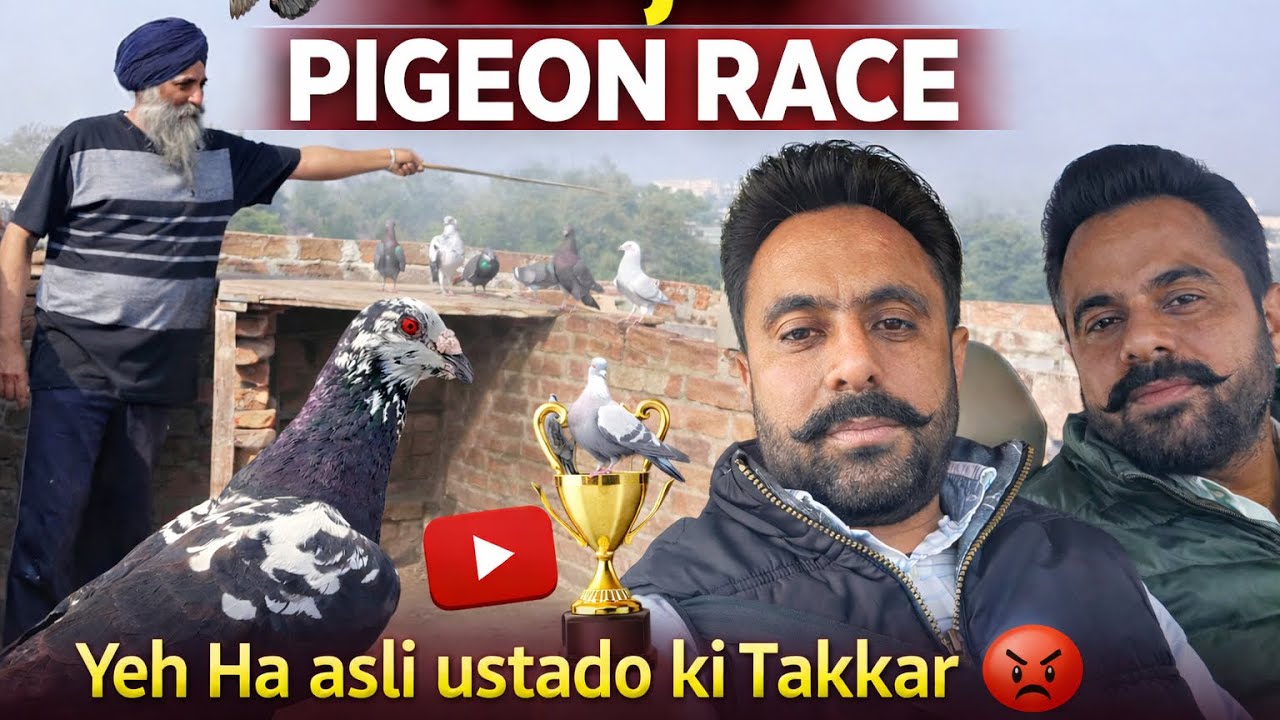 Ustad Lal Chand Sidhu Party Vs Ustad Babbi Maan Party 32-32 kabuttaro ka mukabla    