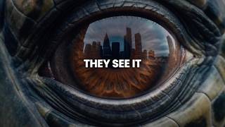 Disrupt Corporate - They Always Come Back (45sec)