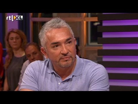 Video: Waarom gooit mijn kat droog voedsel?