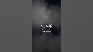 #ايات_قرانيه_قصيره | ريح قلبك 💛 حالات واتس قران 💕✨ Statut WhatsApp Quran karim  #آيات_القرآن_الكريم