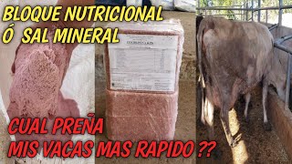 Bloque nutricional ó sal mineral.. Cual preña mis vacas mas rapido ??