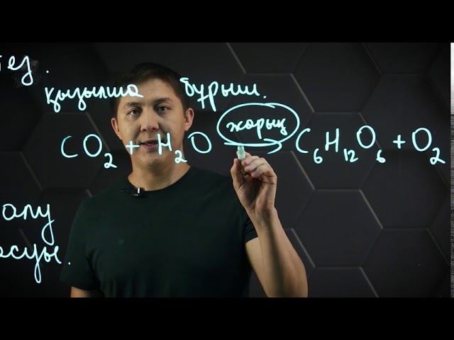 Қынаптың трахты суреттері Мәскеудегі транссексуалды интимдік қызметтер