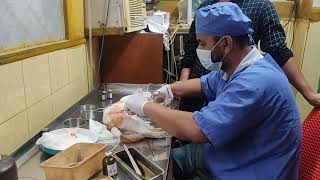 Dr. Sagir's Pet Clinic ( ডাঃ সাগীর'স পেট ক্লিনিক), ঢাকা II Dr. Sagir's Pet Clinic 01912251312 screenshot 2