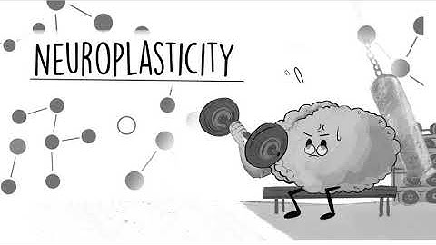 QuIHN Neuroplasticity Animation
