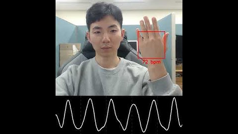 Remote PPG (Hand Back) - SMU PR Lab