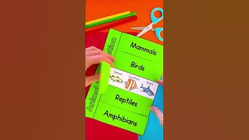 Animal classification sorting activity flipbook #kidslearning #vertebrates #science #teacherideas
