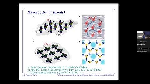 CNQM2023: Silke Bühler-Paschen - Strange metal behavior in heavy fermion compounds and beyond