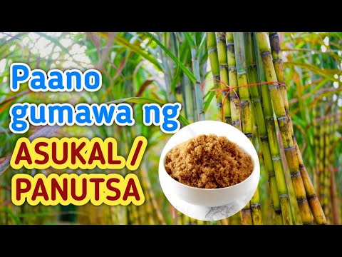 Video: Paano gumagawa ng asukal ang mga halaman?